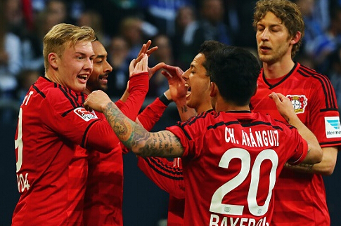 物群落与星 物群落与星