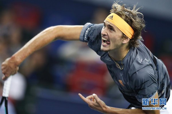 了常春藤对 了常春藤对